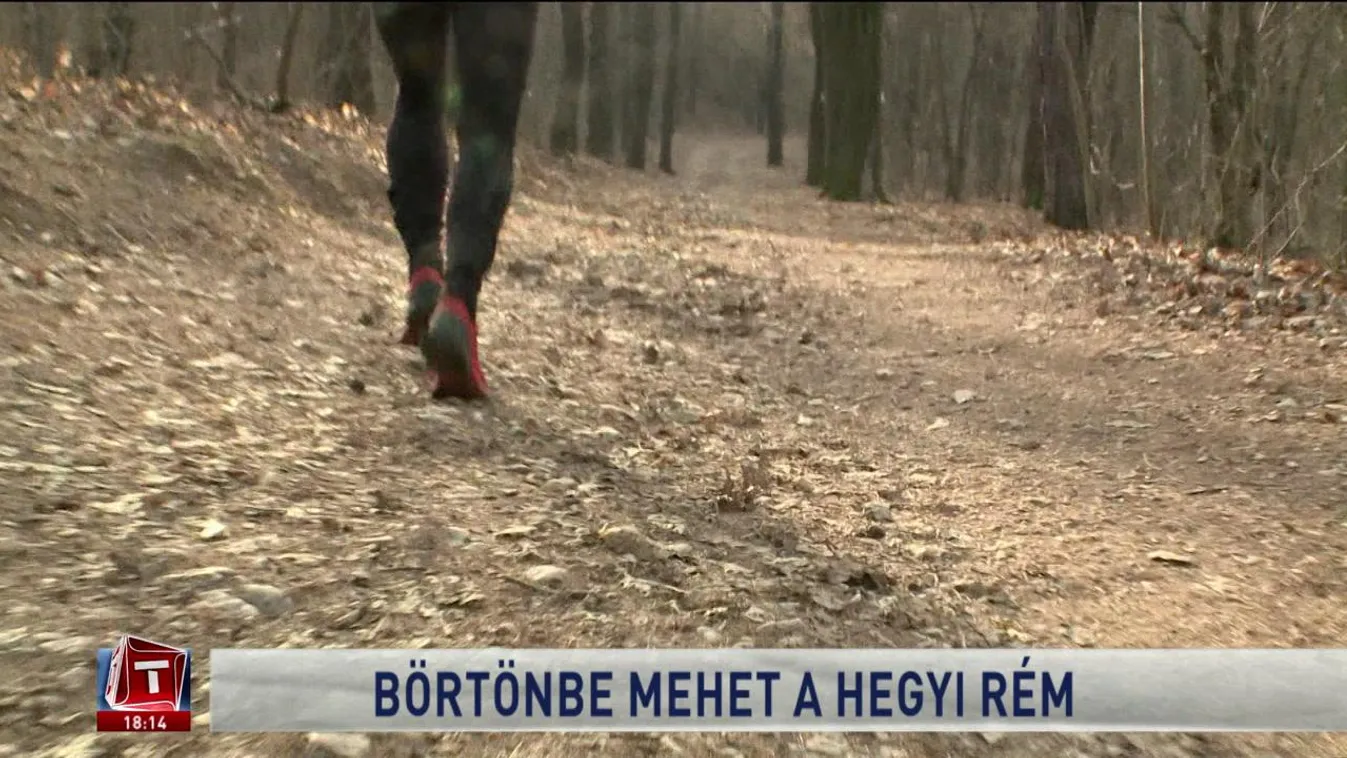 Börtönbe mehet a hegyi rém