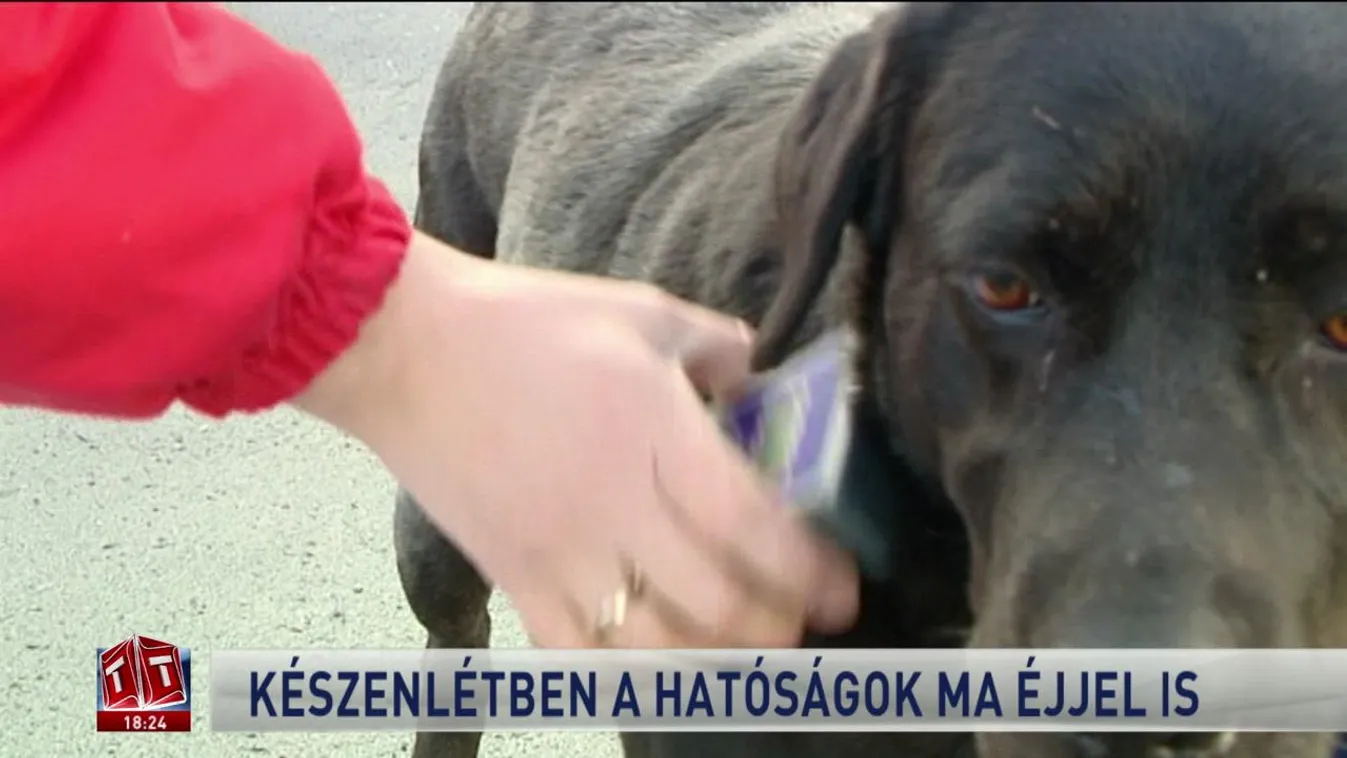 Készenlétben a hatóságok ma éjjel is