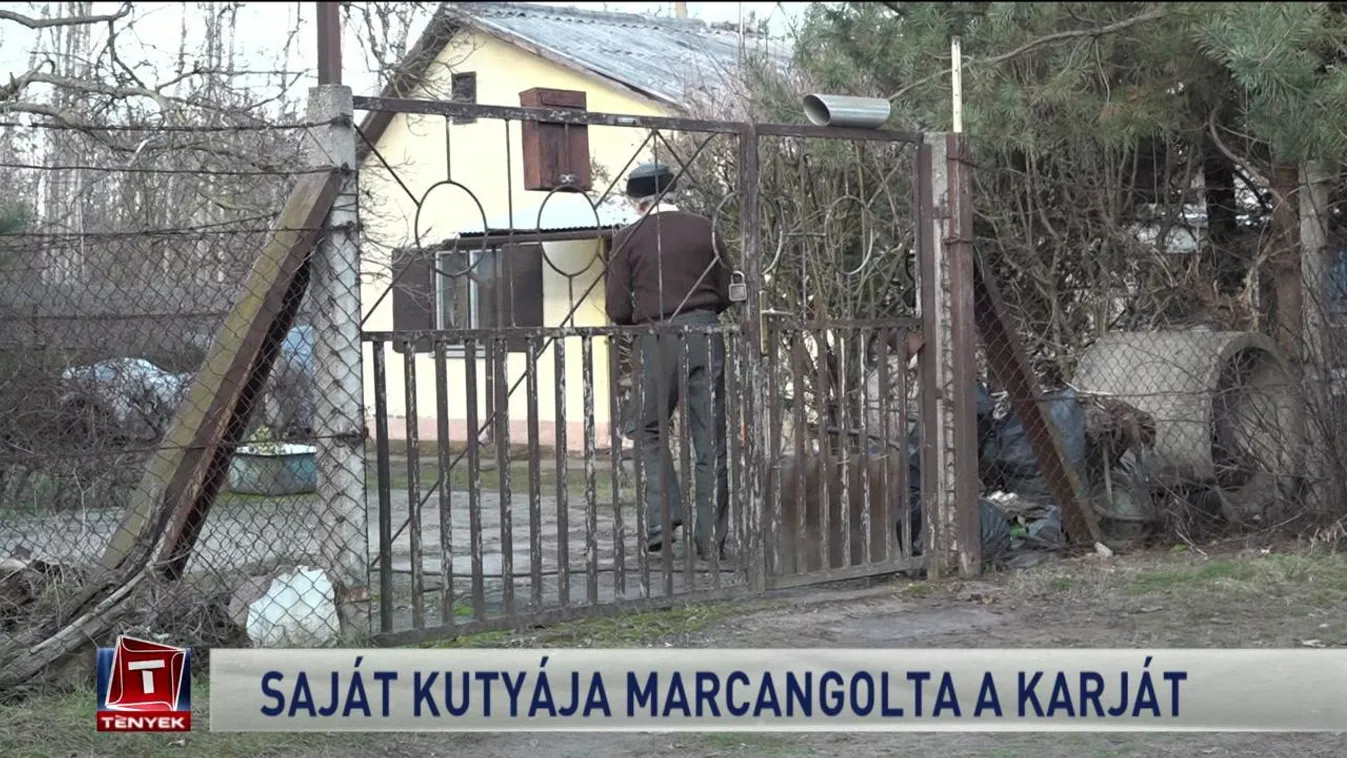 Saját kutyája marcangolta a karját