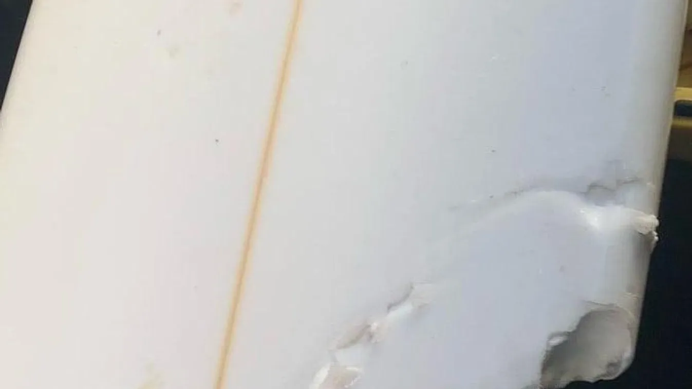 Ketten haltak meg cápa támadásban