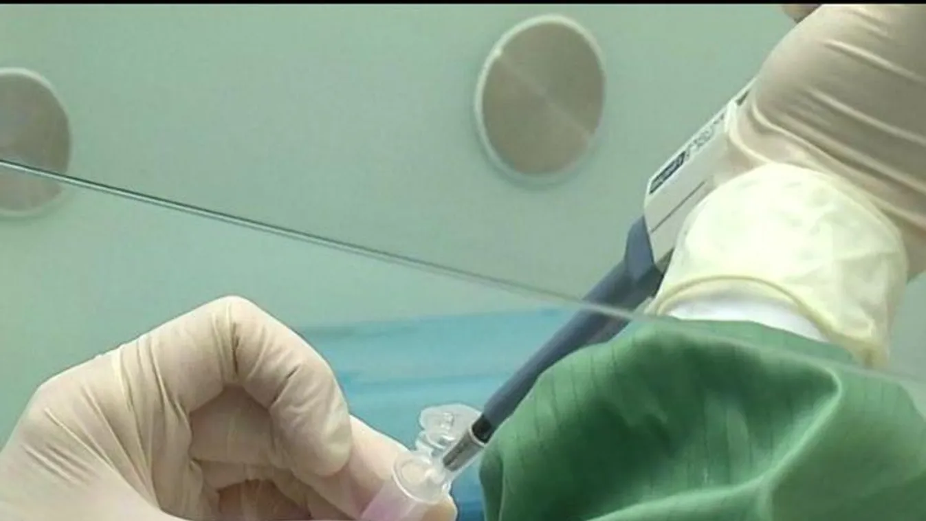 Antibakteriális kesztyűt fejlesztett egy manufaktúra és a pécsi egyetem