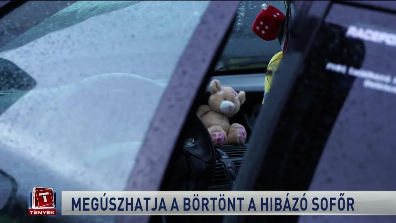 Megúszhatja a börtönt a hibázó sofőr