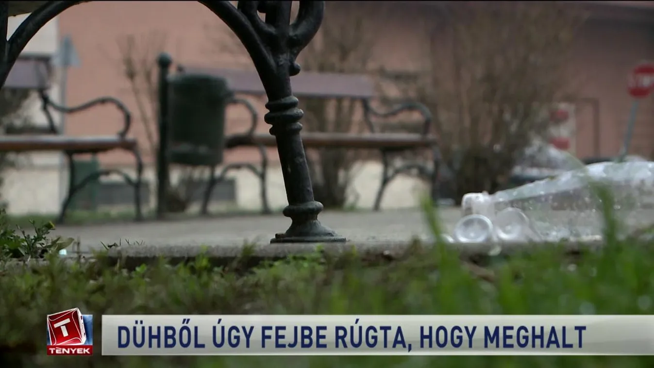 Dühből úgy fejbe rúgta, hogy meghalt