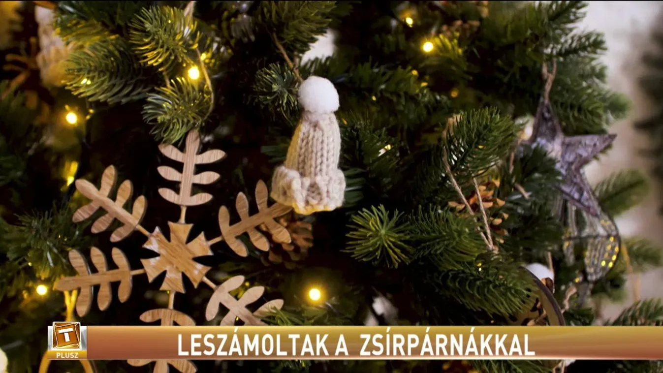 Leszámoltak a zsírpárnákkal