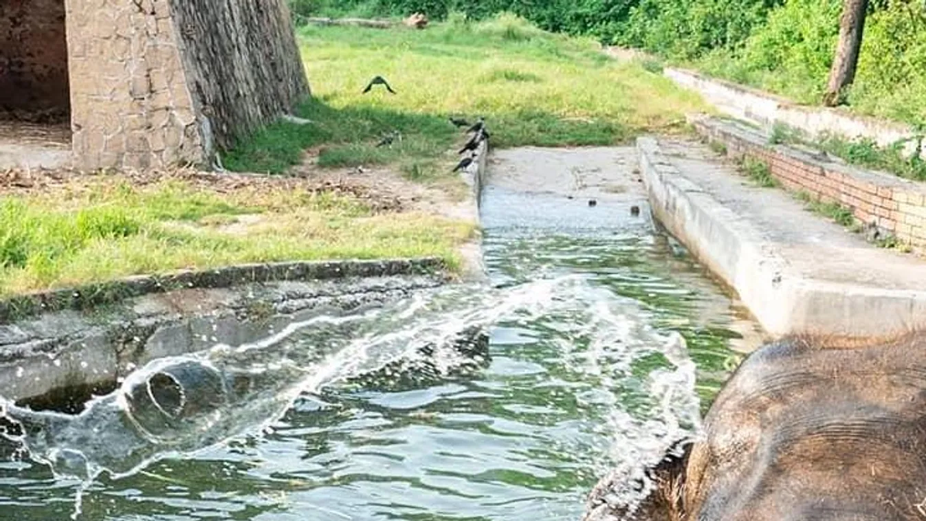 Végleg bezárt a hírhedt állatkert