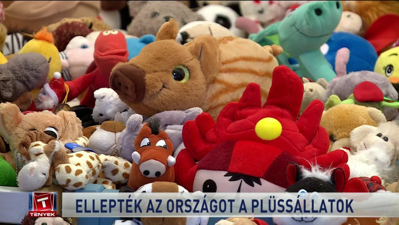 Ellepték az országot a plüssállatok