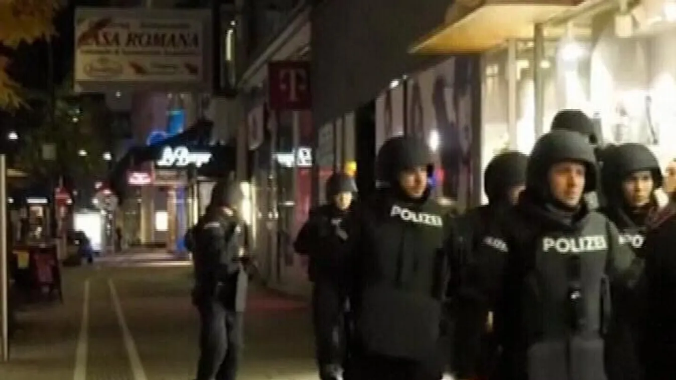 Őrizetbe vették a bécsi merénylet két gyanúsítottját