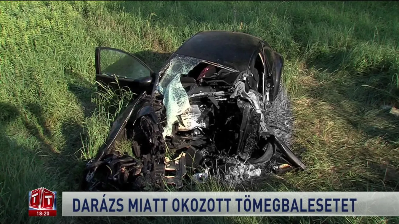 Darázs miatt okozott tömegbalesetet