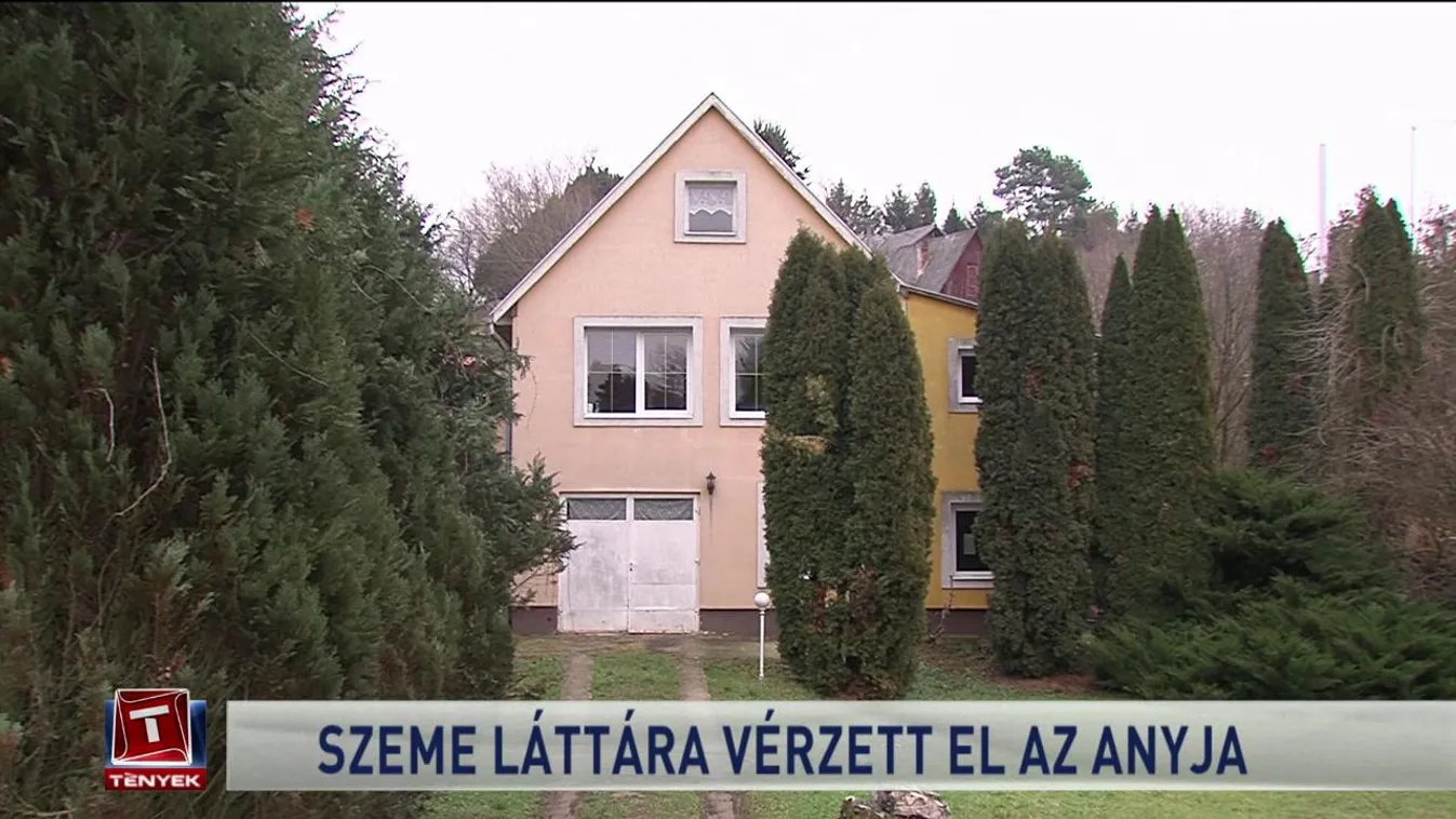 Szeme láttára vérzett el az anyja