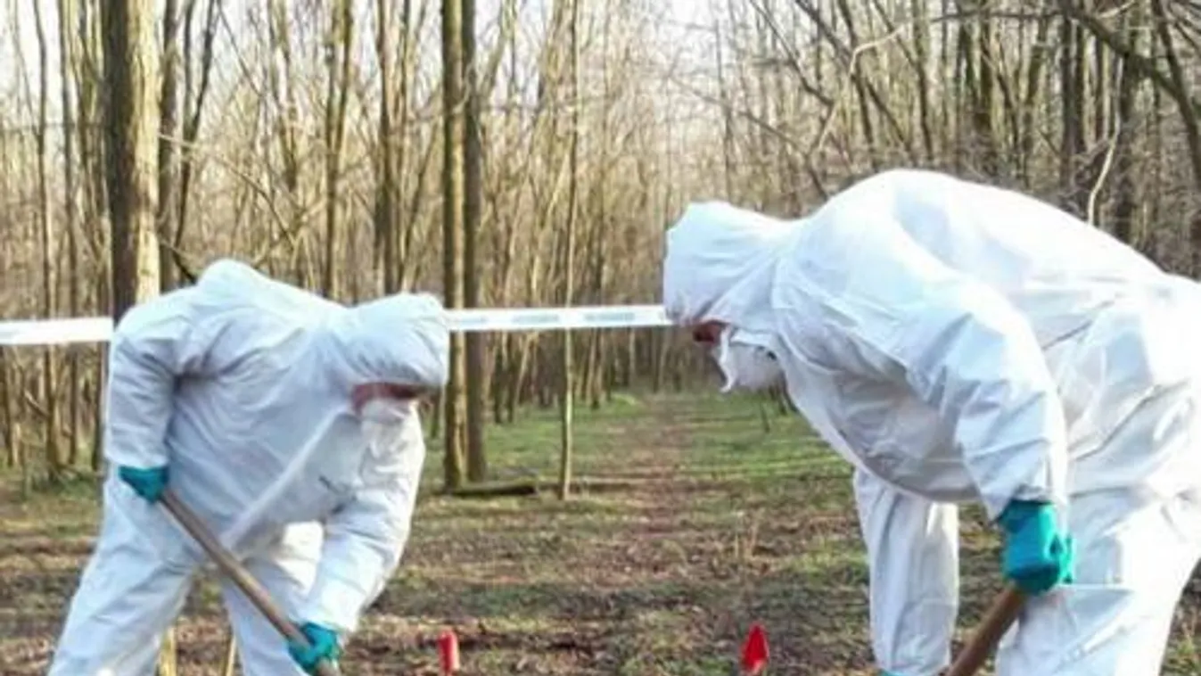 Elszenesedett holttestekre bukkantak Mexikóban az amerikai határ közelében