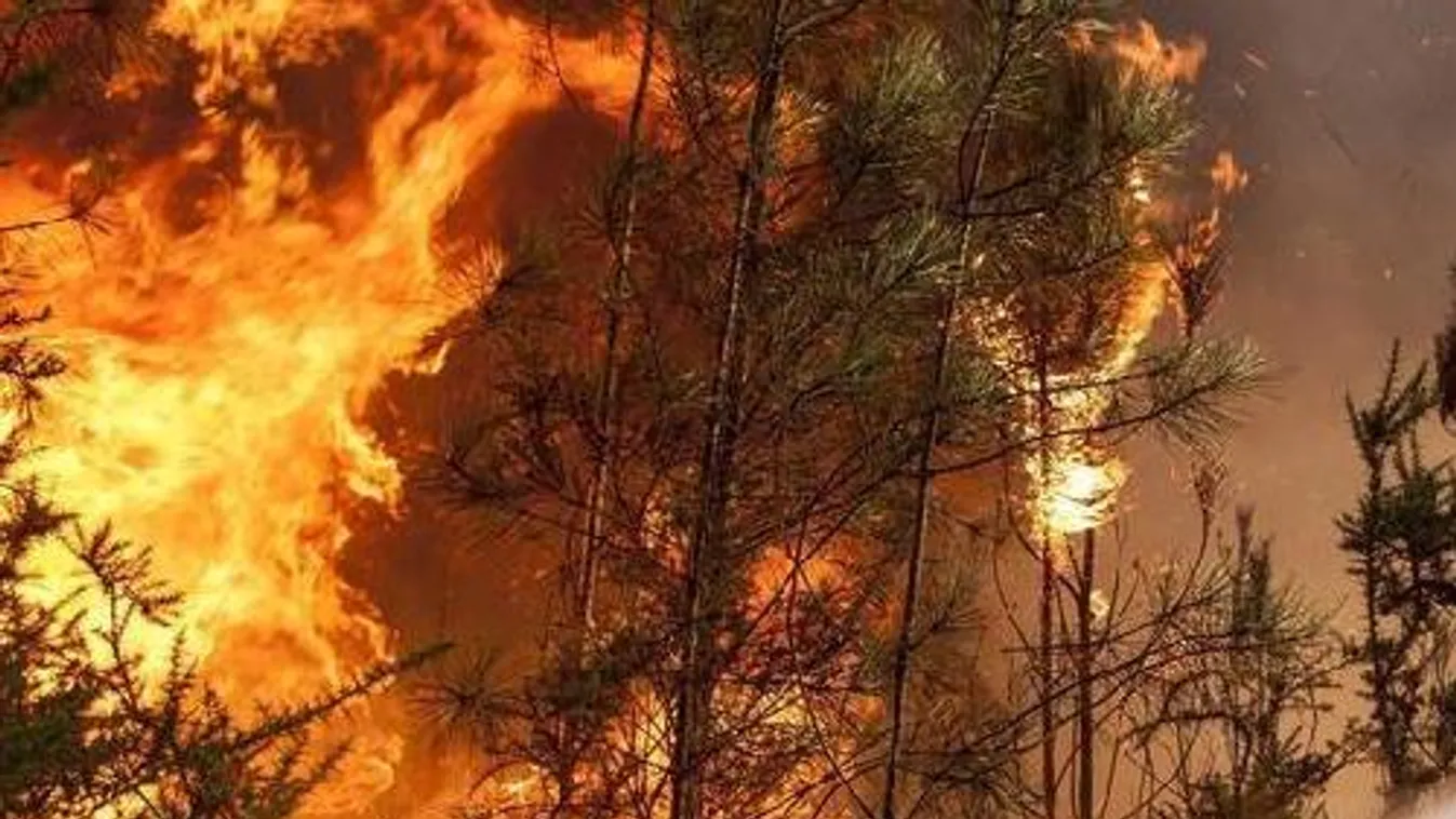 Hatalmas a tűz, szerencsére senki sincs veszélyben - VIDEÓ