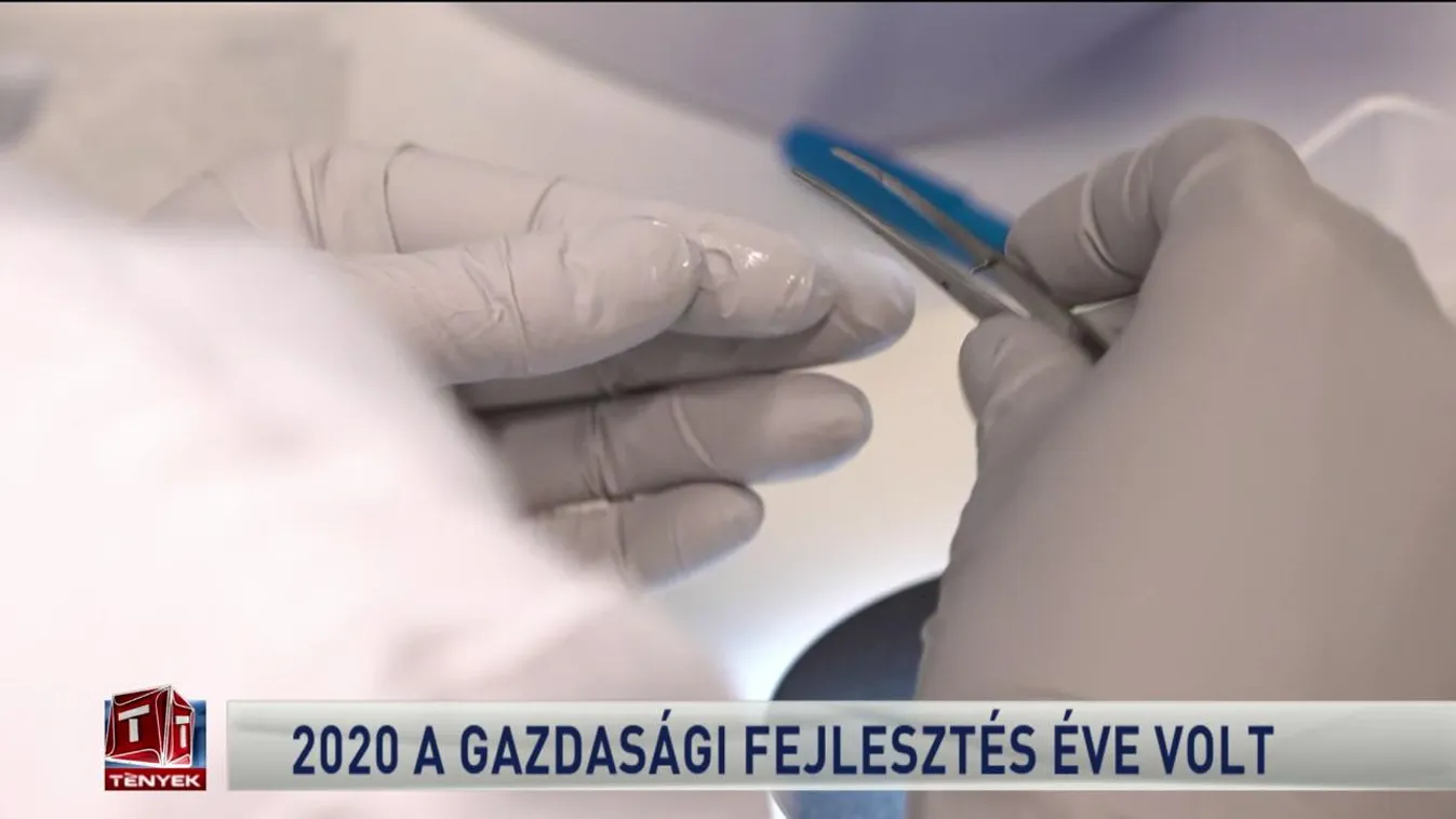2020 a gazdasági fejlesztés éve volt