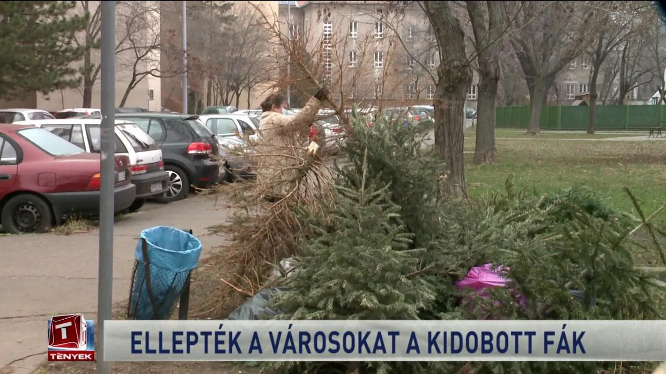 Ellepték a városokat a kidobott fák