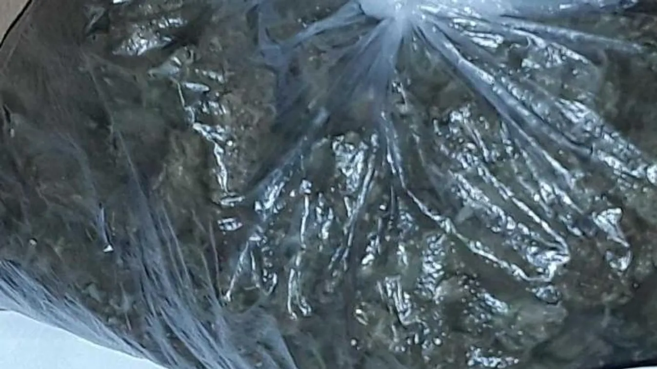 Vásárlóival együtt kapták el a drogdílert - FOTÓK