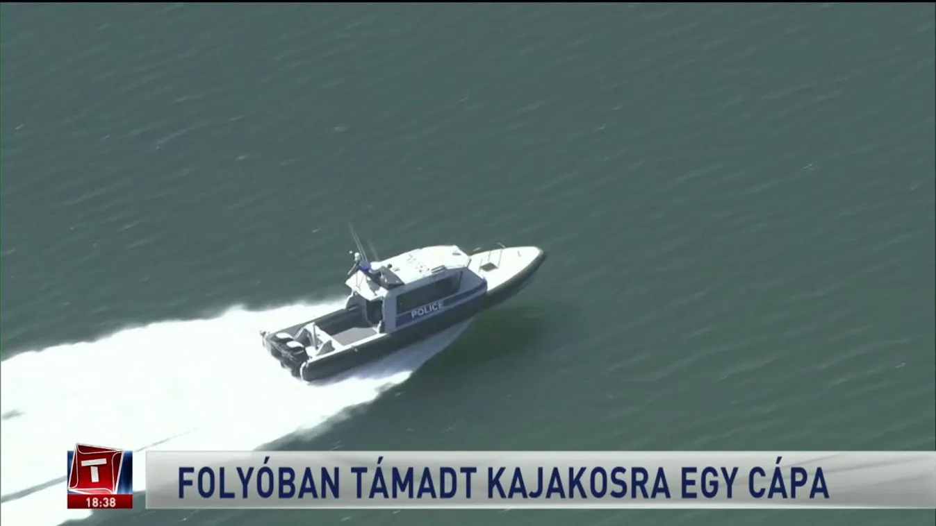 Folyóban támadt kajakosra egy cápa