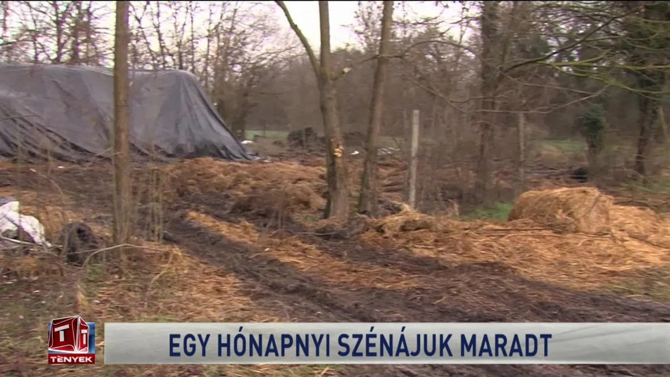 Egy hónapnyi szénájuk maradt