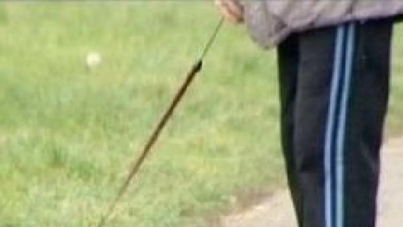 Kutyául érzi magát: Pórázon sétáltatta férjét egy nő a kijárási tilalom alatt