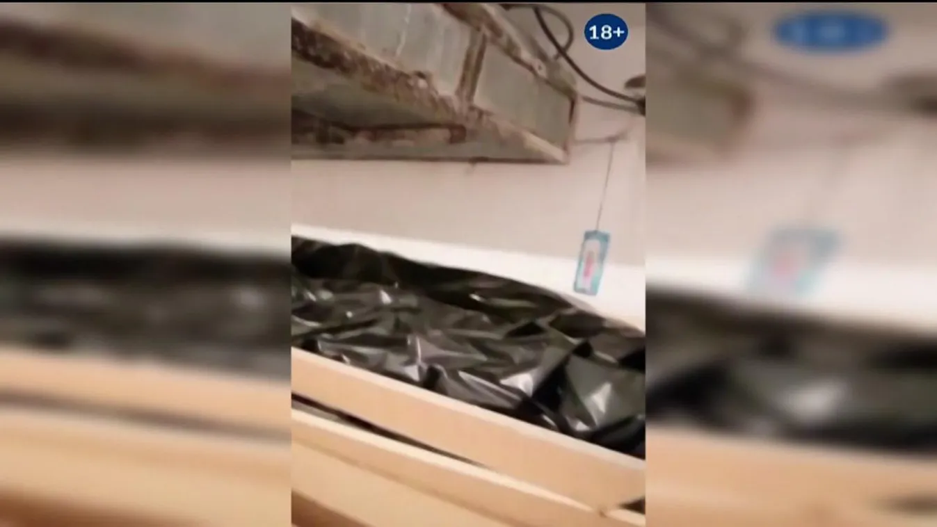 Nacsa: halálkampányban a baloldal