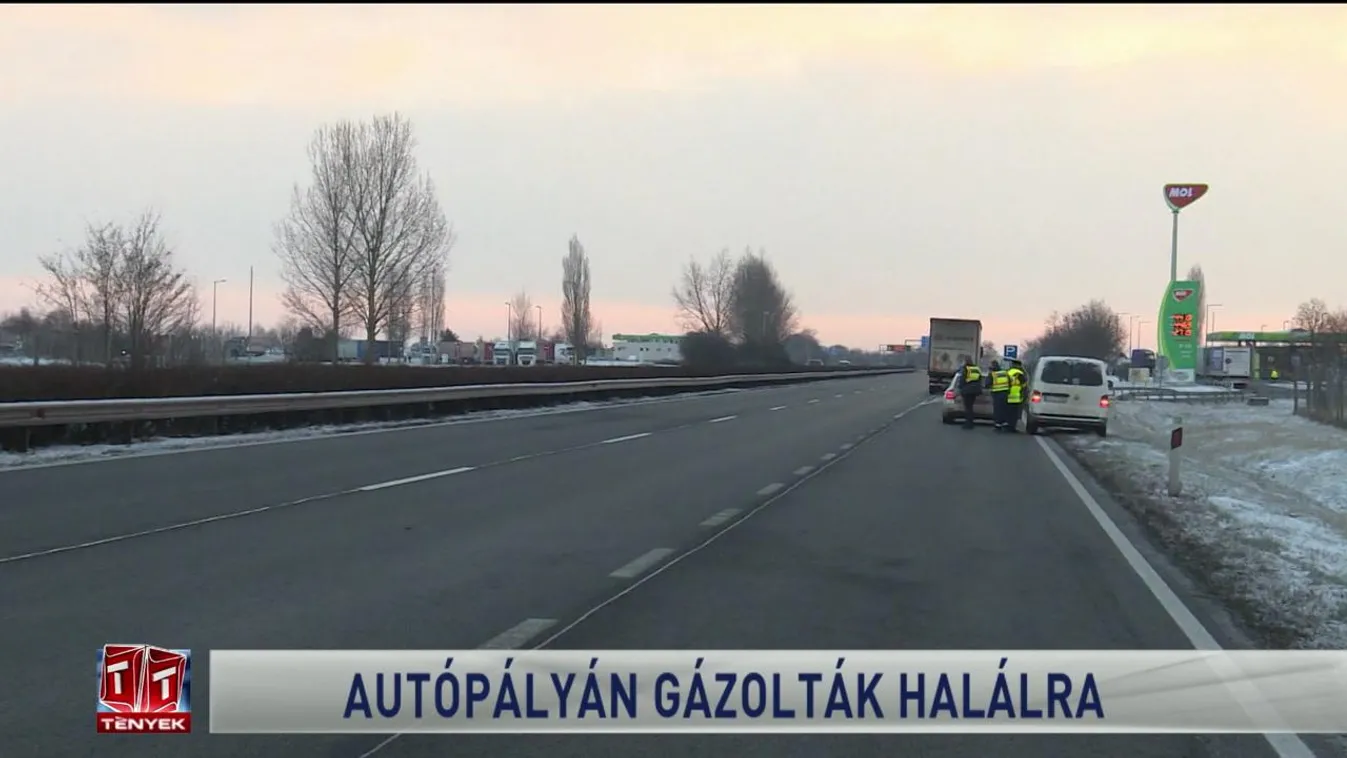 Autópályán gázolták halálra