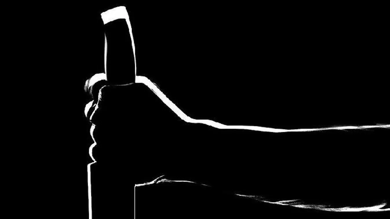 19 év börtönbüntetést kapott a pornószínész, aki saját nagyapját gyilkolta meg