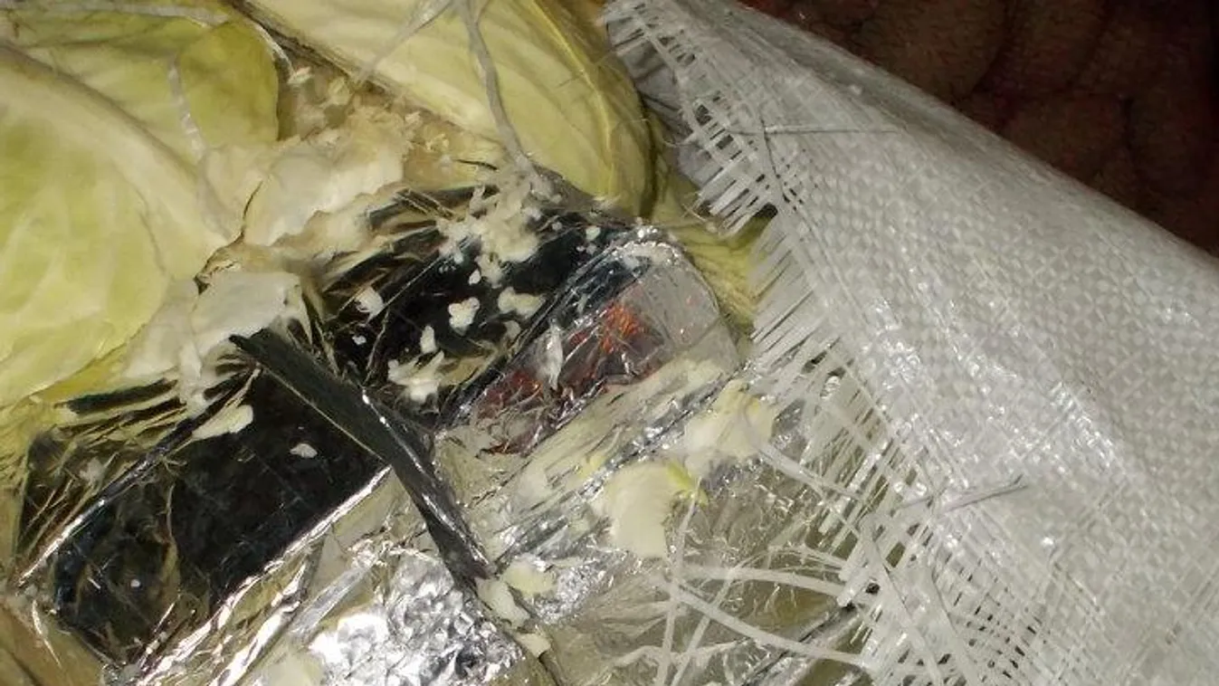 Négymillió forintot ért a káposzta