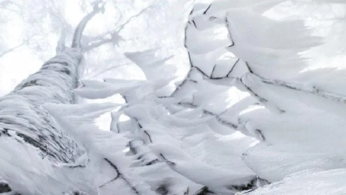 A Börzsönyben zúzmarába fagyott falevél aranyat ért