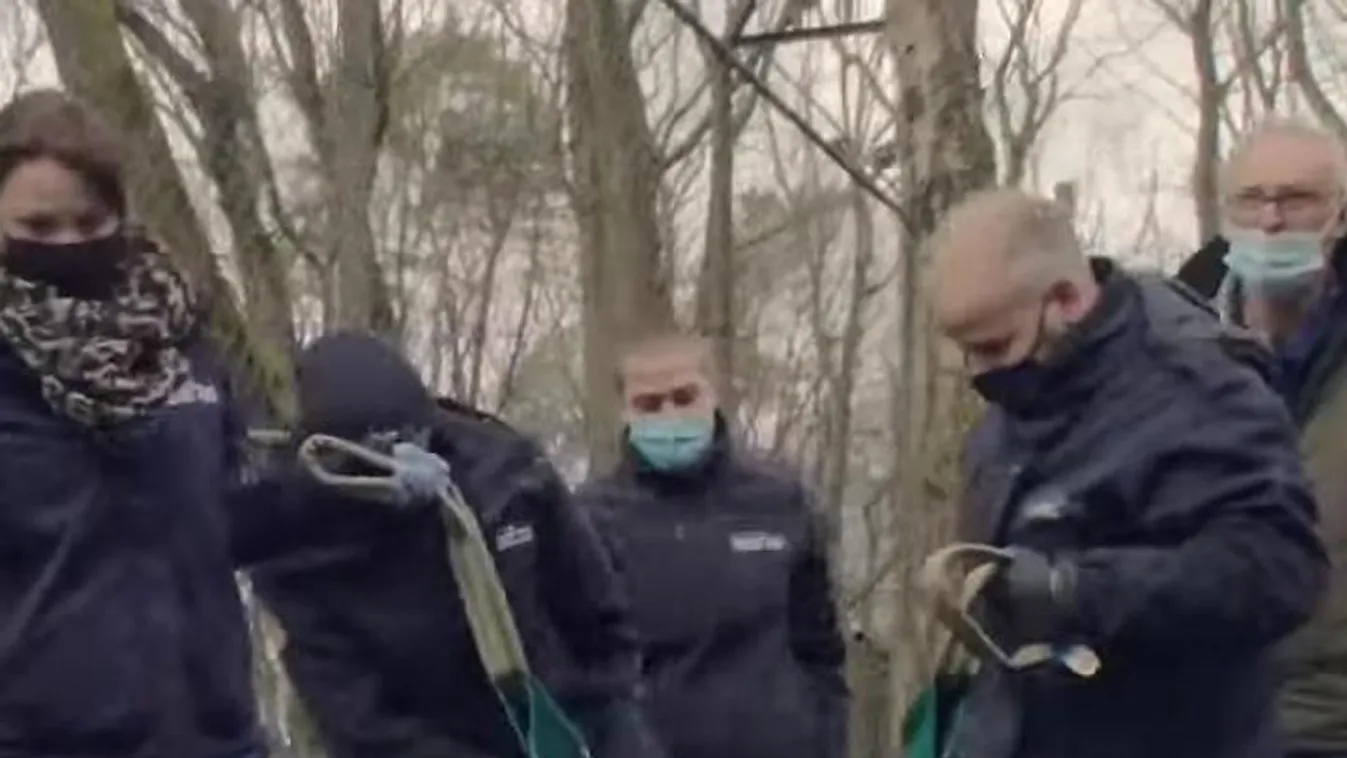 Elkötöttek egy állatkerti oroszlánt Hollandiában - Videó