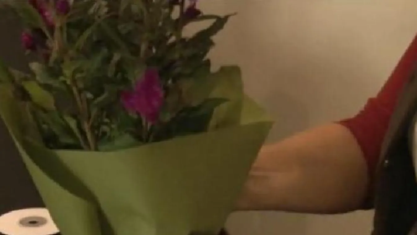 Készülnek a tavaszi rohamra