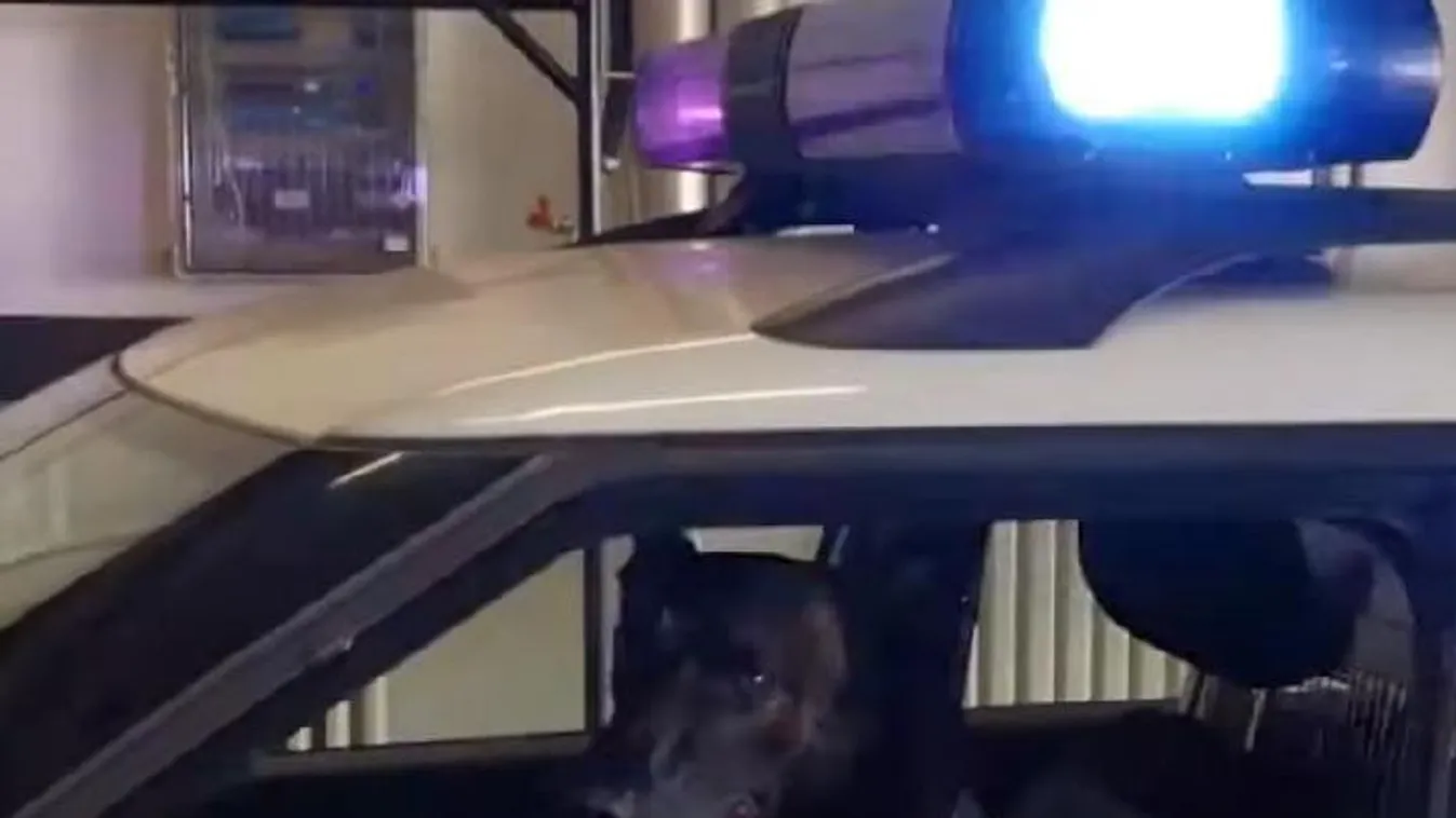 Ez a Karma mindig szolgálatkész! - Videó