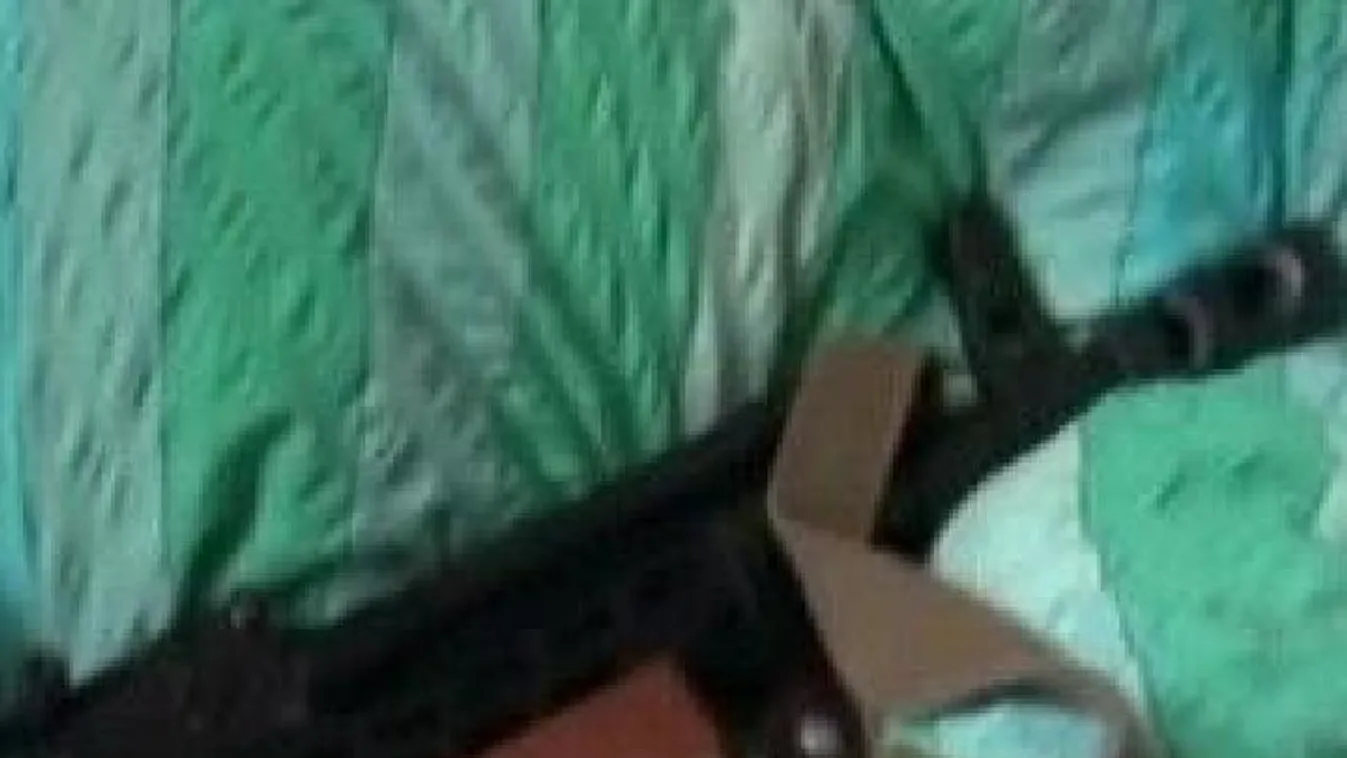 Puskával lőtte le magát a vadász