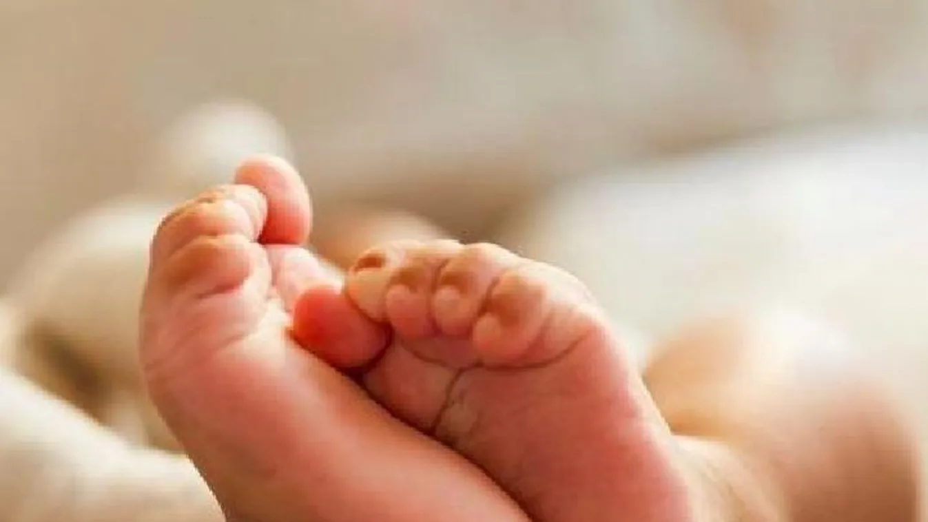 Világra hozta, majd a kukába dobta gyermekét