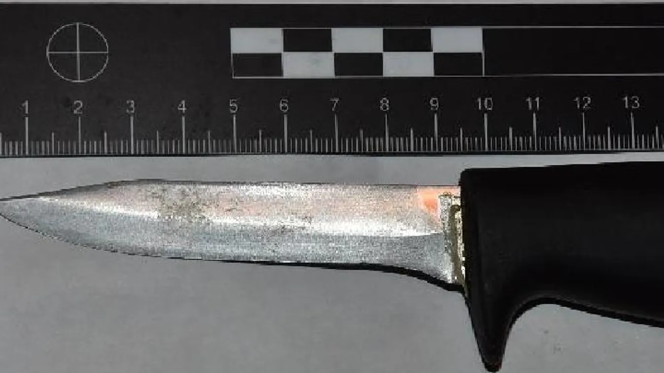 Élőben közvetítette ámokfutását egy késelő, őrjöngő nő