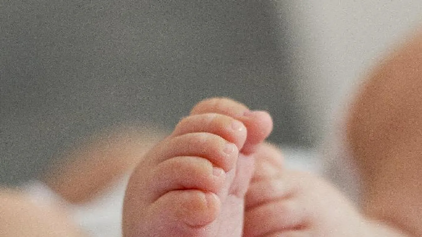 Európában Magyarországon nőtt a legnagyobb mértékben a gyermekvállalási kedv