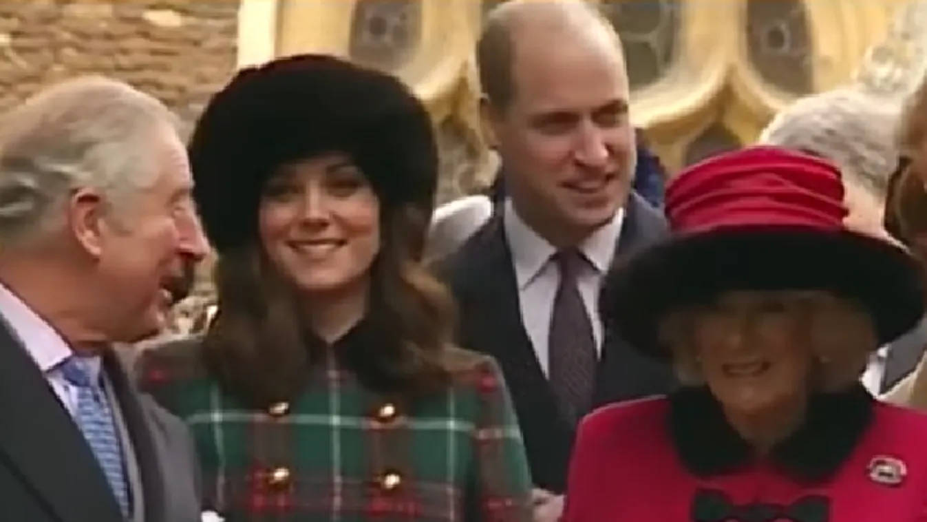 A britek Károly herceg helyett Vilmost szeretnék látni a trónon