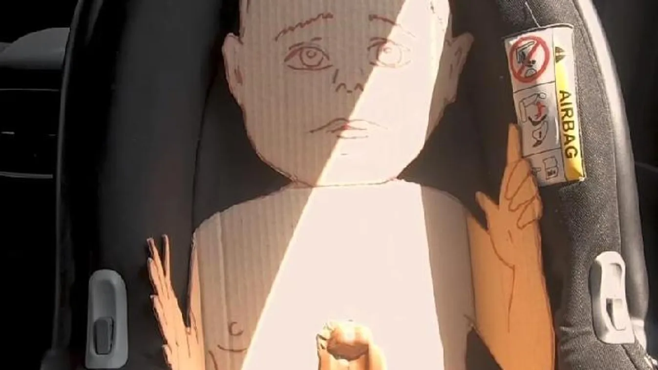 Szinte megsemmisült a nyúl, mert a kocsiban hagyták a hőségben