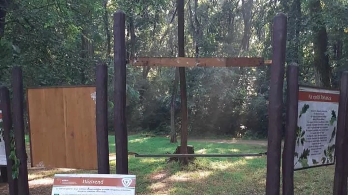 Törtek zúztak Nyíregyházán a Sóstói-erdőben