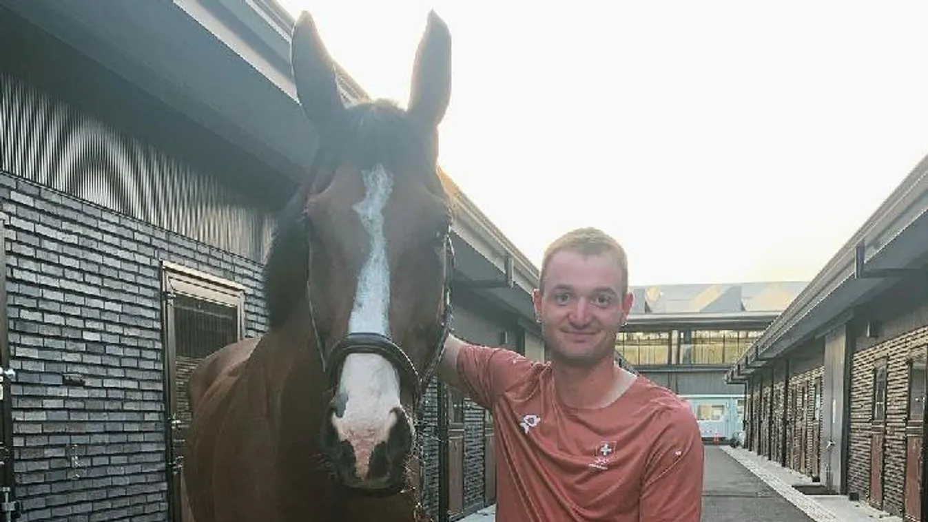 Úgy megsérült egy ló az olimpián, hogy el kellett altatni