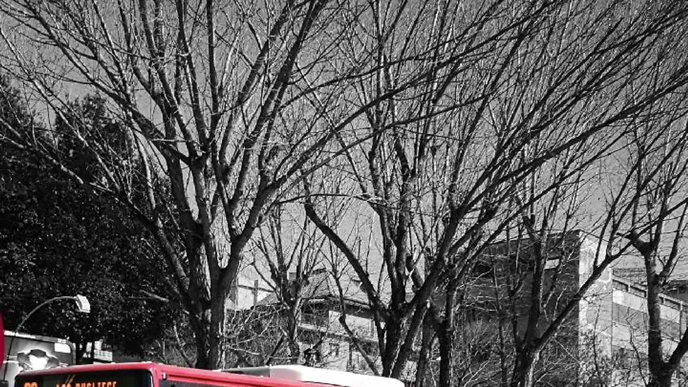 Olaszországban oltáshoz kötötték a városi tömegközlekedés használatát