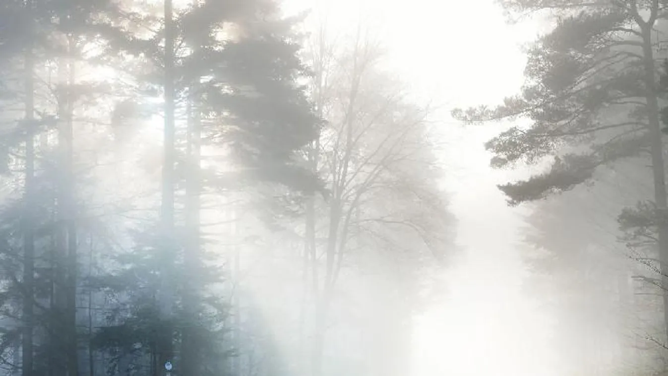 Ködbe borult az ország: több útszakaszon is rosszak a látásviszonyok