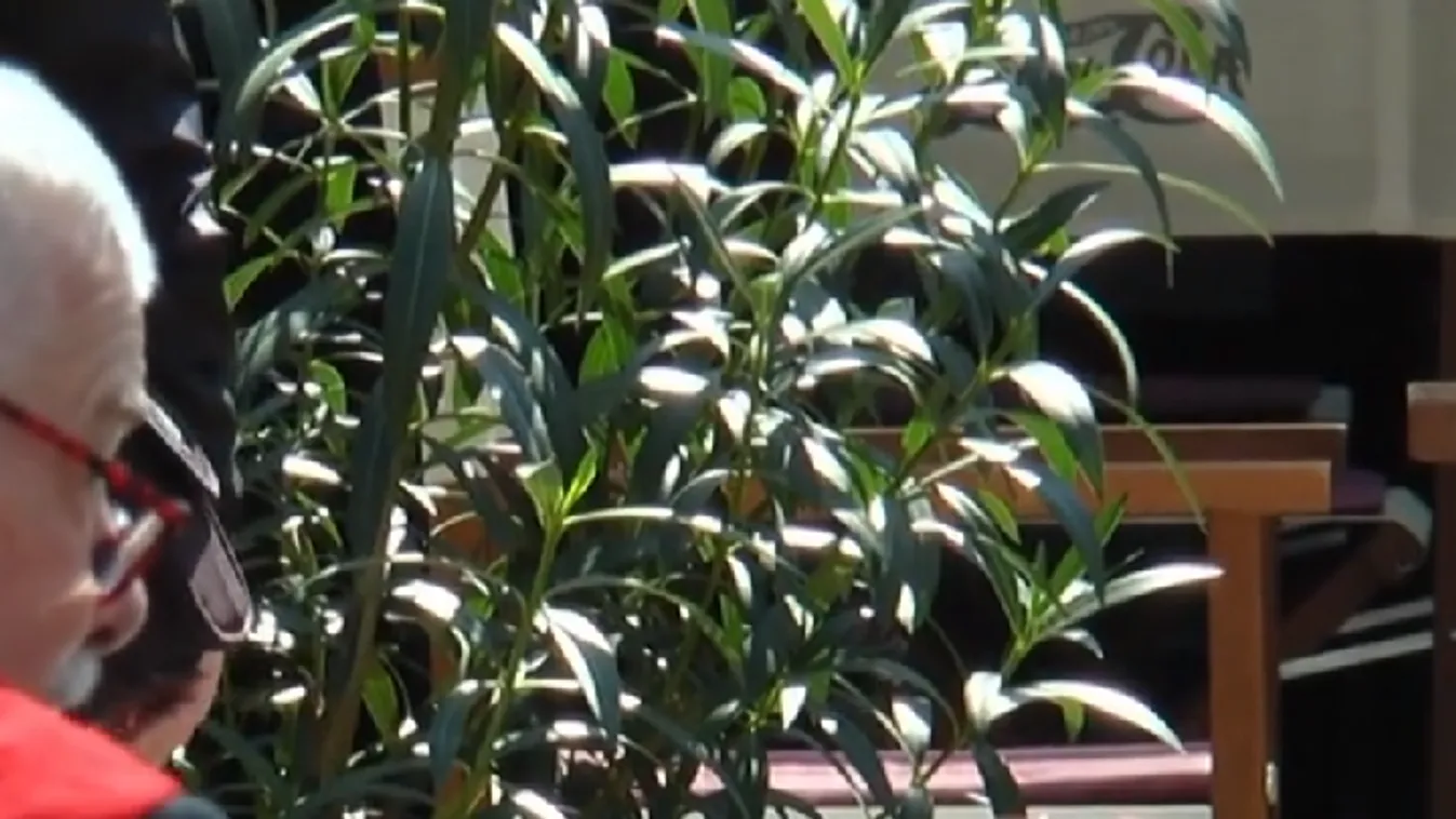 Tíz hamis értékelést posztolt az étteremről, most milliókat fizethet