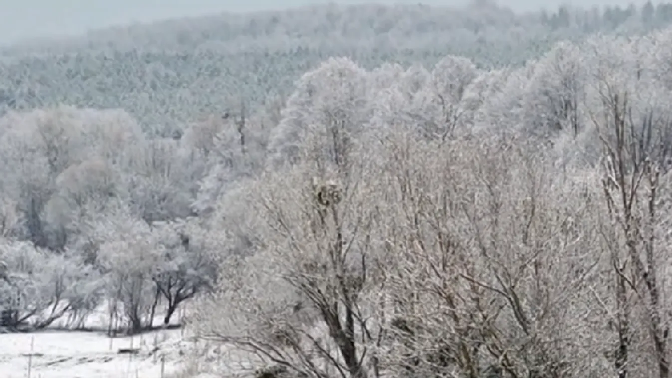 Bútoráruházban ragadtak a hó miatt, ott is éjszakáztak