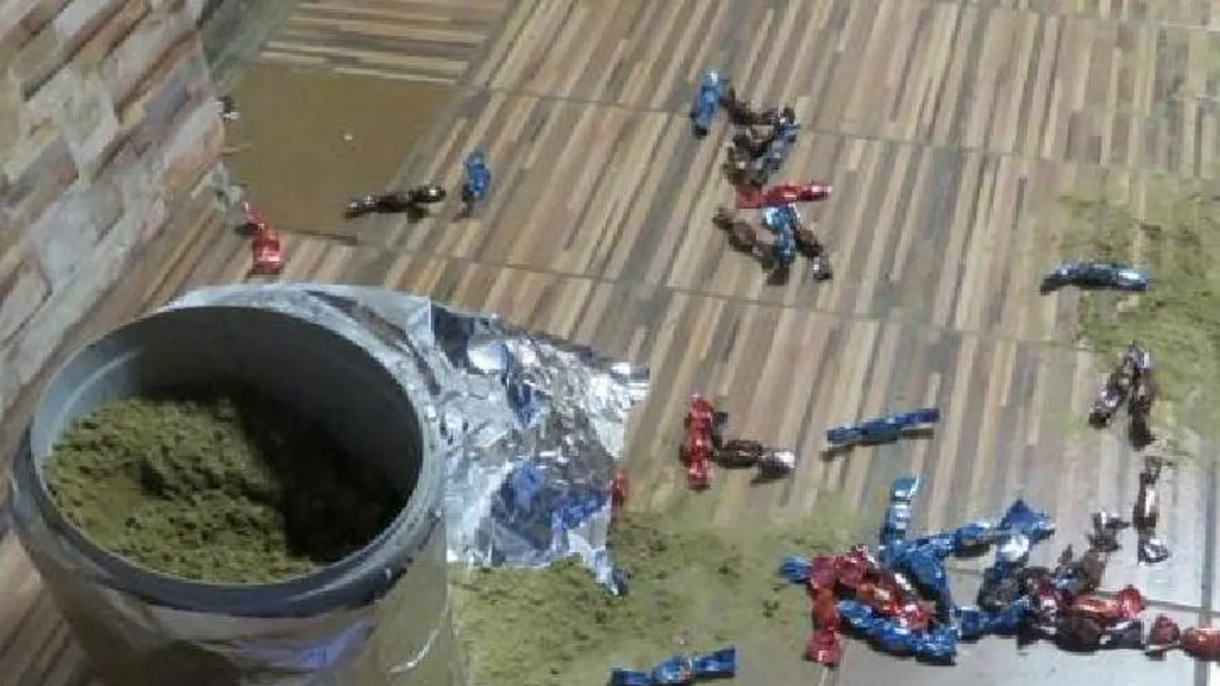 Nem volt karácsonyfája, lopott egyet