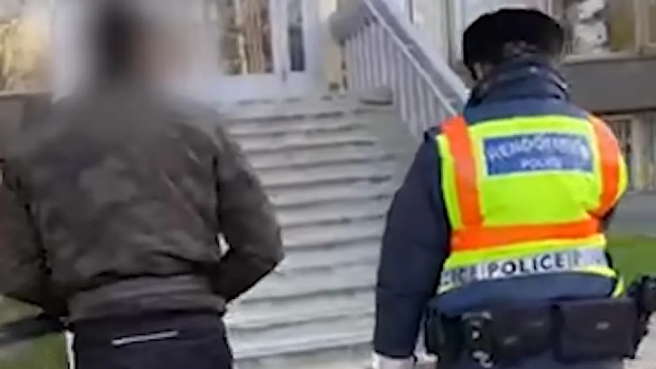 Trélert rendeltek és úgy loptak kocsikat