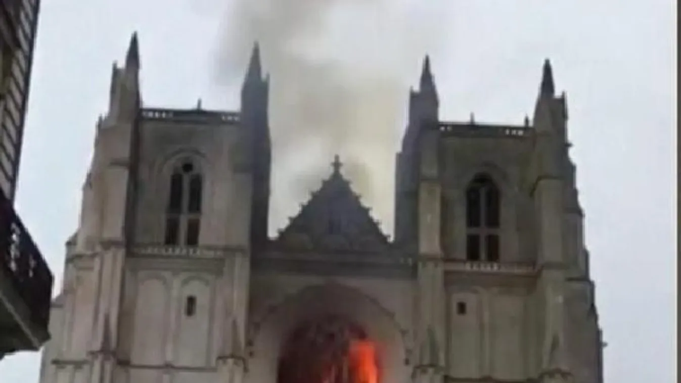 Ezer tölgyet használnak fel a Notre-Dame rekonstrukciójához