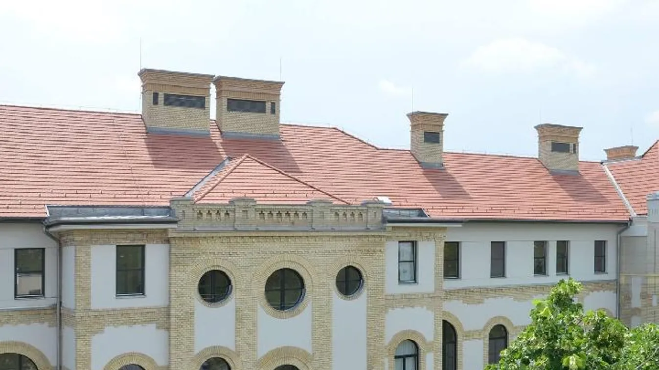 Évi ötmilliót spórolt meg a munkájával az Uzsoki Utcai Kórháznak a jószívű antennaszerelő