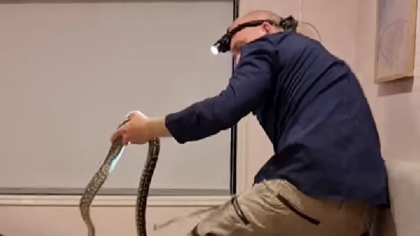 Igazi szörny volt a kislány ágya alatt