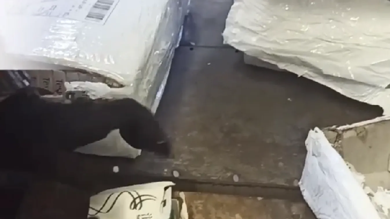 Uraim, csak csak óvatosan: illegális potencianövelőt foglaltak le