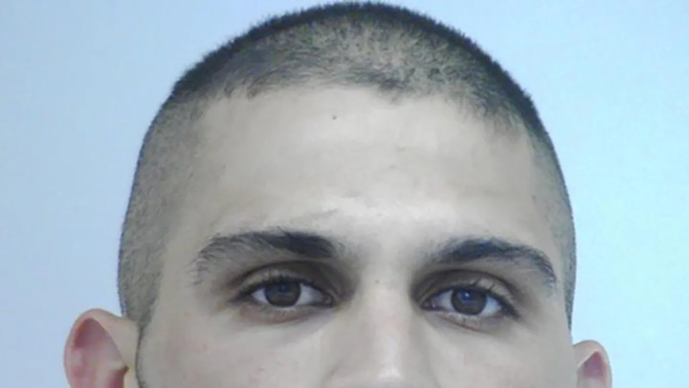 Hat hónap börtönt kapott a pálhalmai börtön tehenészetéből megszökött rab