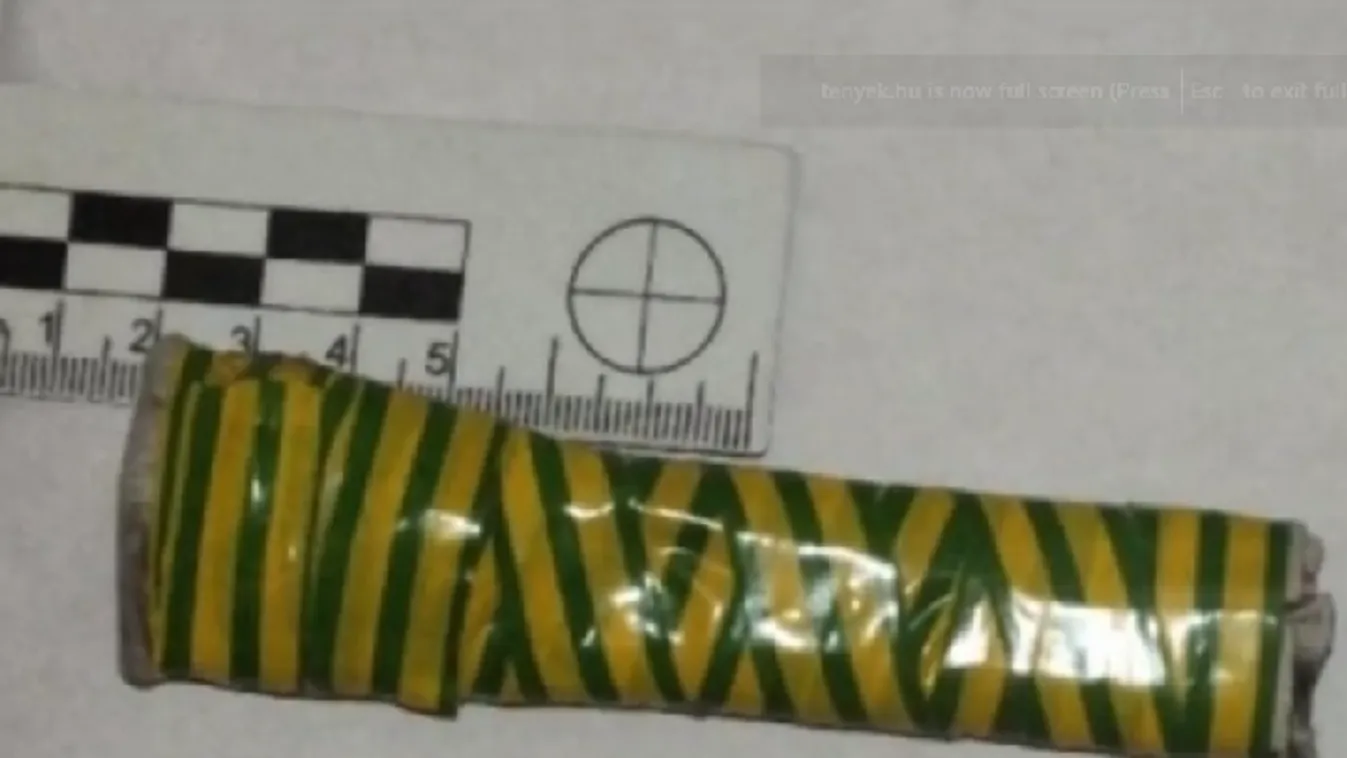 Kettős gyilkosság a XVIII. kerületben, több késszúrással végzett áldozataival egy férfi