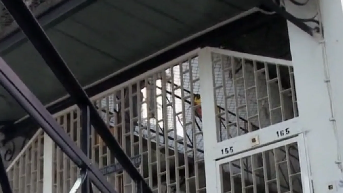 Hatnapos halott csecsemőben csempészték a drogot